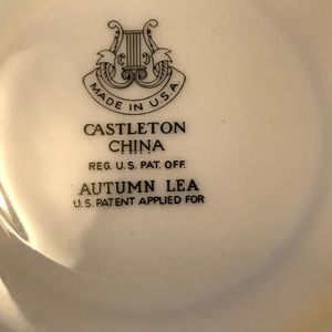 16 pieces Castelton China Autumn Lea